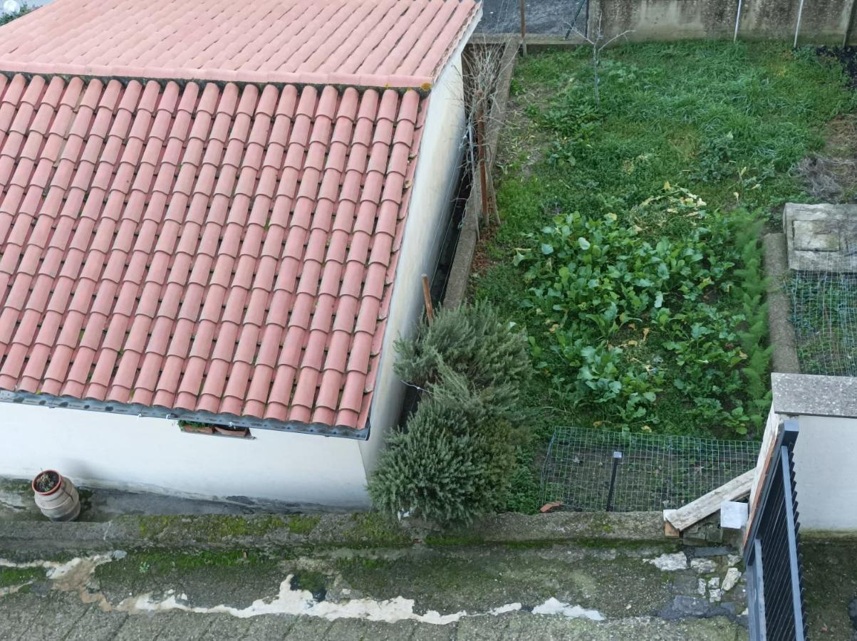 Affittacamere Piagge Orvieto Exteriör bild